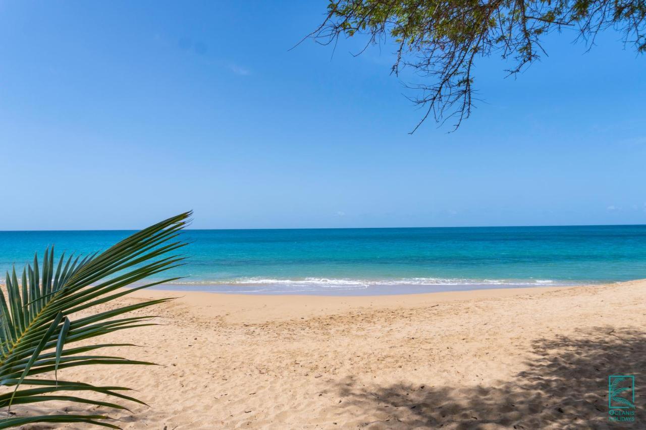 Magnifique Et Spacieux T2 Proche De La Plage - La Kiss House Apartment Deshaies Exterior photo